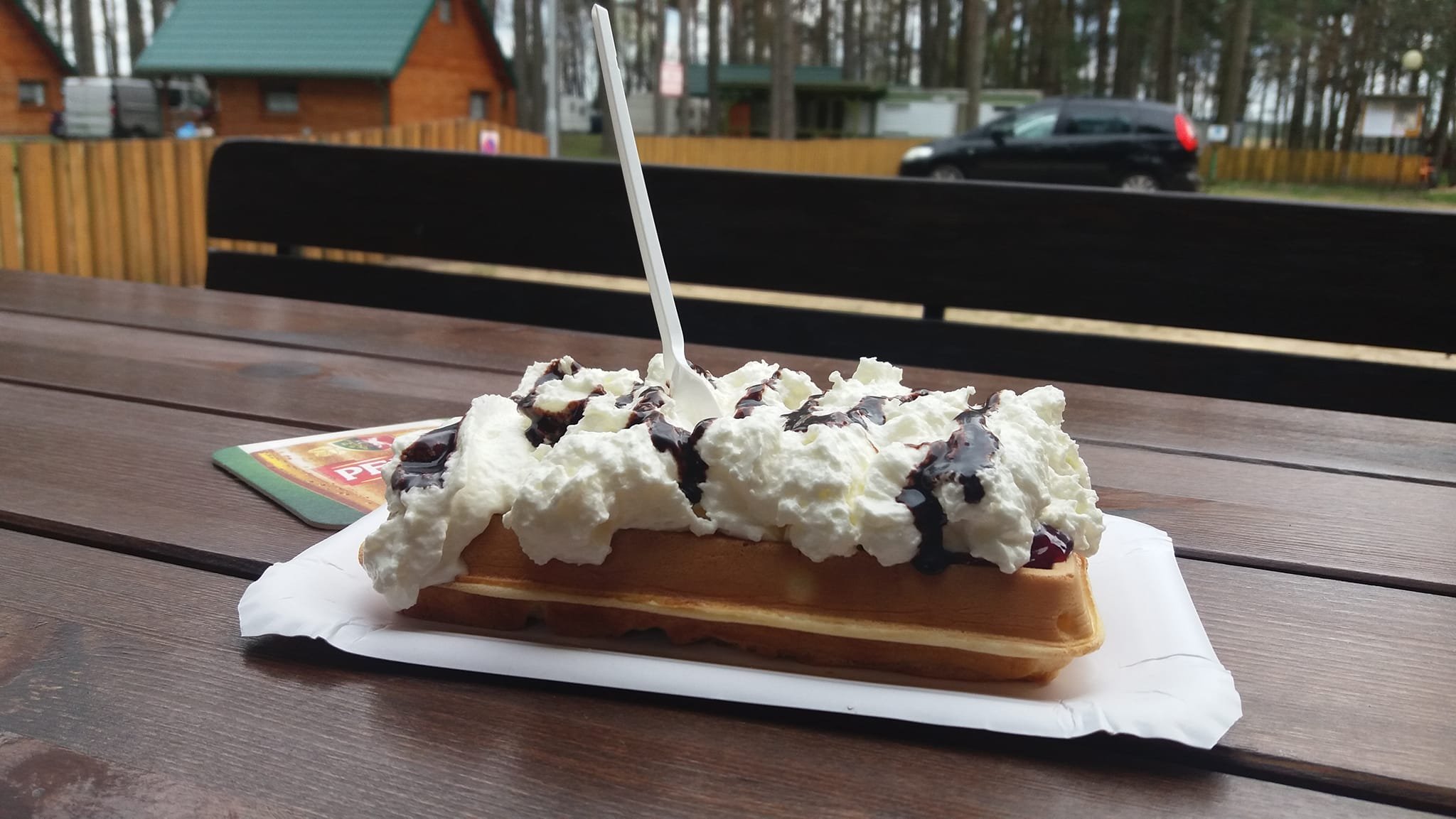 Camping Forest Glade (Leśna Polana / Mazurski Camping)